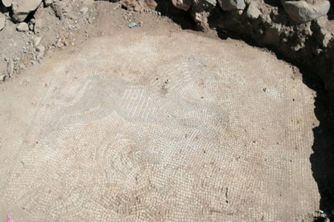 Roma dönemine ait mozaikler ele geçirildi