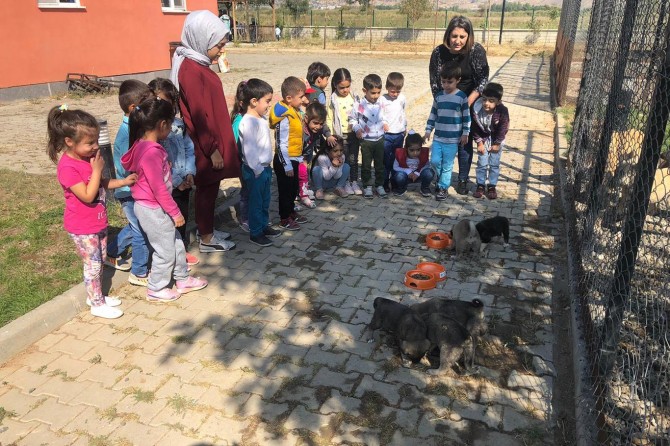 ​Bingöl'de öğrenciler hayvan barınağını gezdi