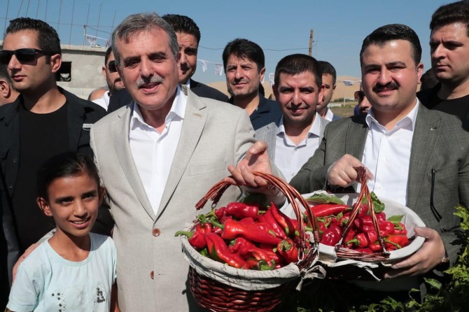 İsot Festivali ileri bir tarihe ertelendi