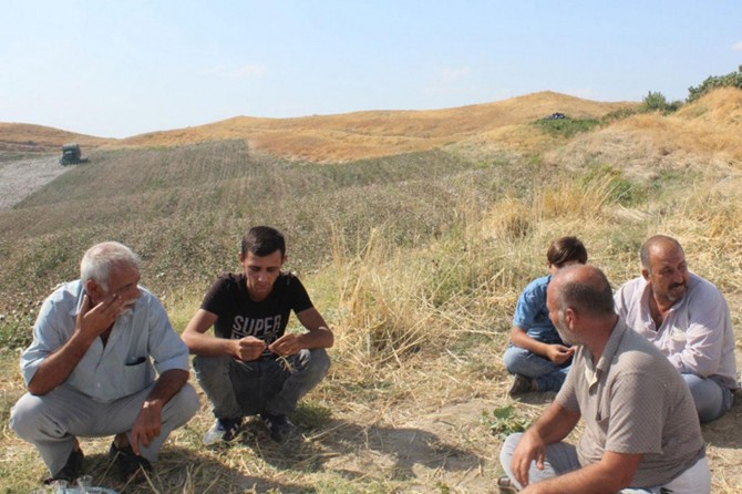 Pamuk üreticisi zamlardan dolayı dertli