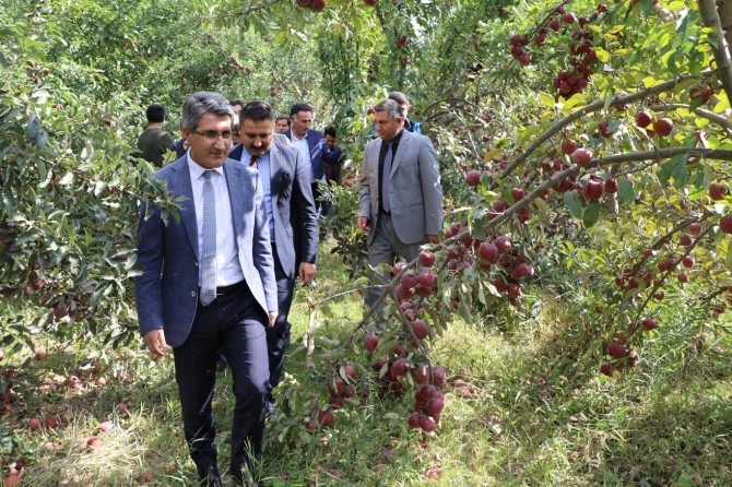 Ağrı’da Elma Hasadı etkinliği düzenlendi