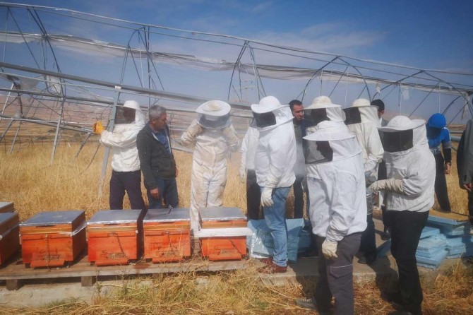 Organik arıcılık kursuna yoğun ilgi