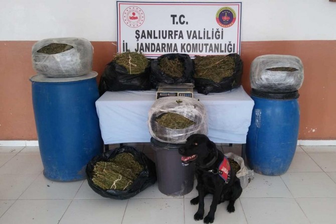 Şanlıurfa'da uyuşturucu operasyonu: 4 tutuklama