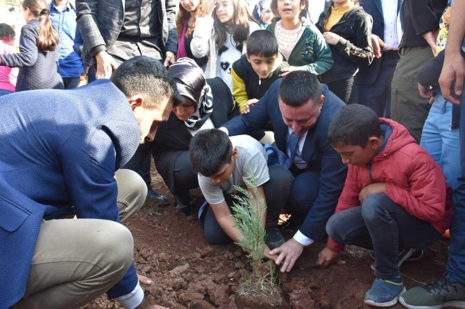 "Yeşil Bağlar İçin Herkes Bir Fidan Diksin" kampanyası