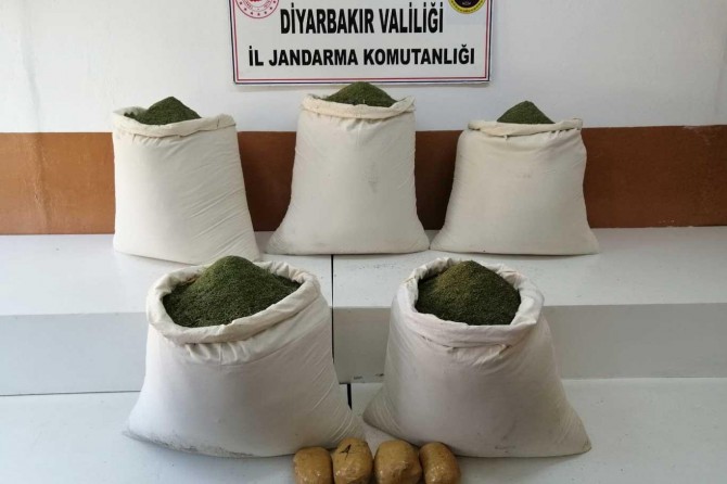 Li Licê 220 kîlogram esrar hat bidestxistin