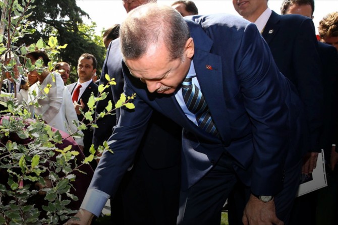 Cumhurbaşkanı Erdoğan'dan "yeşil bir Türkiye için" destek çağrısı
