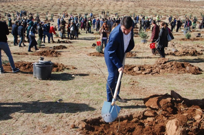 Bitlis’te 123 bin fidan toprakla buluştu