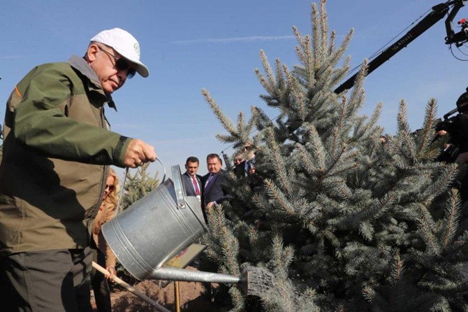 Public planting 11M trees for greener Turkey: Erdoğan