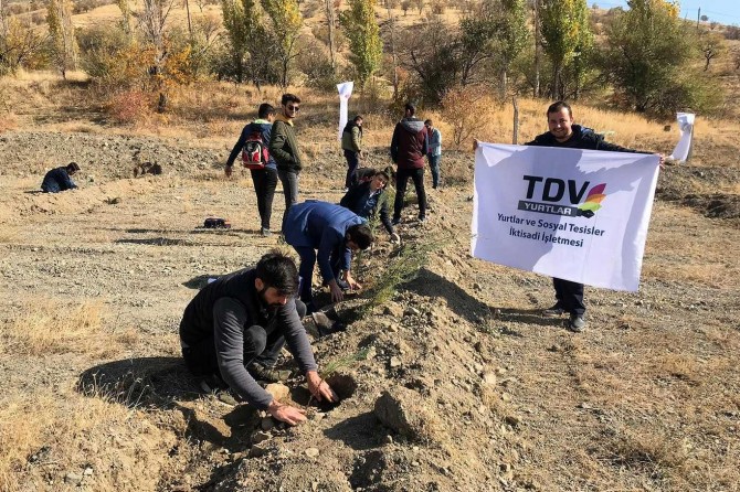 Elazığ’da 250 binden fazla ağaçlandırma yapıldı