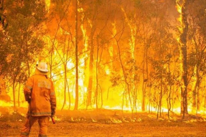 Australian bushfires rage towards New South Wales