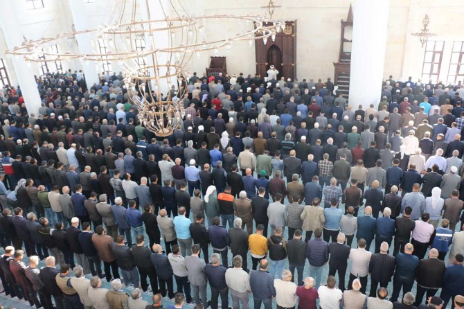 Aile; güvendir, dayanaktır, sığınaktır