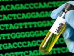 Akraba evliliği 'nadir hastalık' nedeni