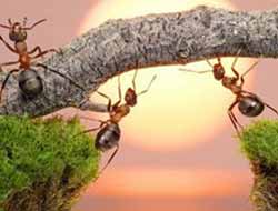 Kazançlar ve Başarılar Müşterektir (İnzar Dergisi – Aralık 2012 Başyazı)