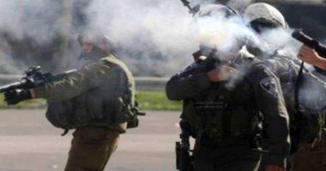 Zionist gangs attack Palestinian citizens and students in al-Khalil city