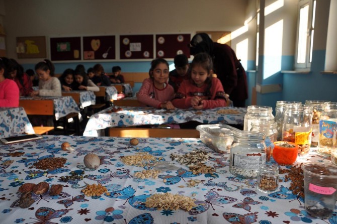 Öğrenciler tohum ekmeyi uygulamalı olarak öğreniyor