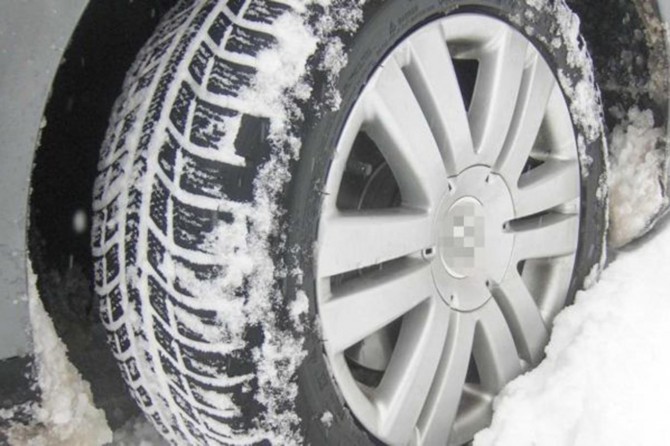 Sepana lastîka zivistanê dest pê kir