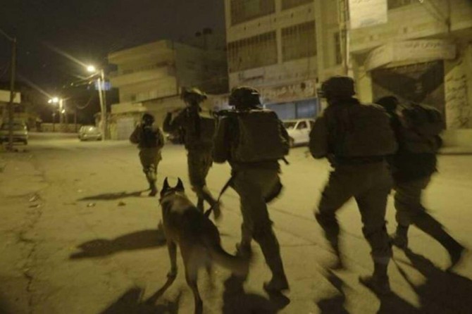 Zionist gangs attack a Palestinian woman