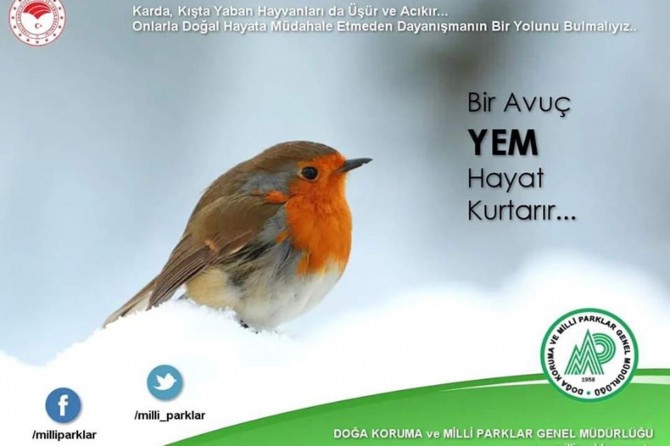 "Bir Avuç Yem Hayat Kurtarır" kampanyası