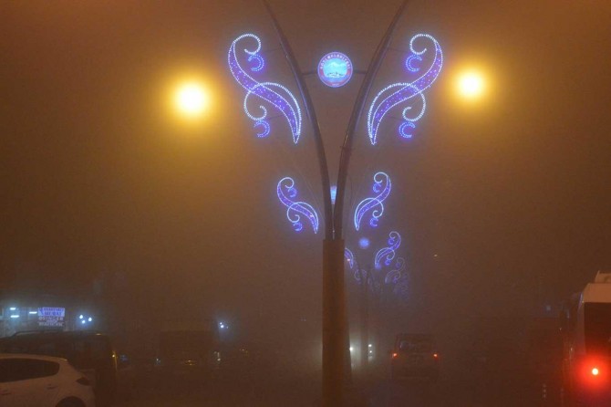 Ağrı'da yoğun sis