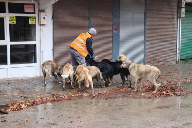 Sokak hayvanları unutulmadı