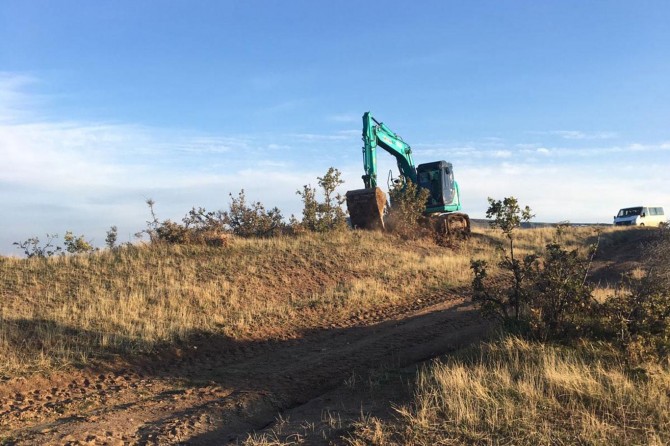 Fıstık ağaçları dikilecek gerekçesiyle meşe ağaçları sökülüyor
