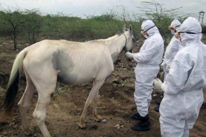 Ruam hastalığı nedir