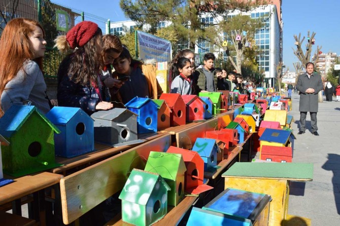 ​Siirt Fevzi Çakmak Ortaokulu öğrencileri sokak hayvanları için elleriyle yuva yaptı
