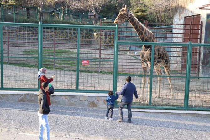 Gaziantep Hayvanat Bahçesi'ne rekor ziyaretçi
