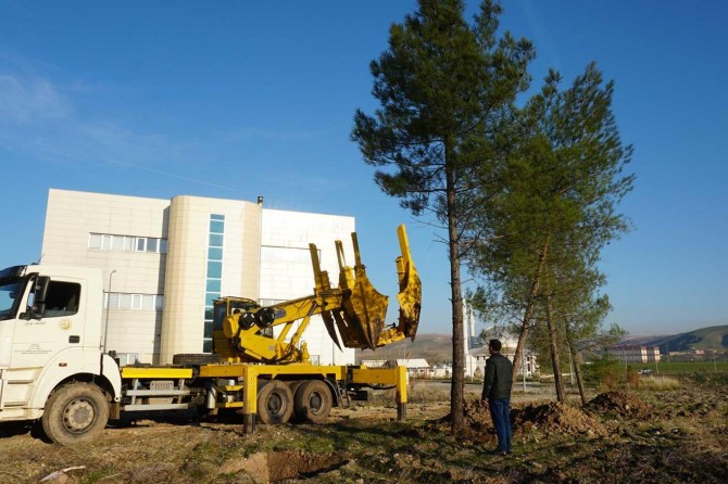 Baraj havzasında kalan ağaçlar üniversite yerleşkesine naklediliyor