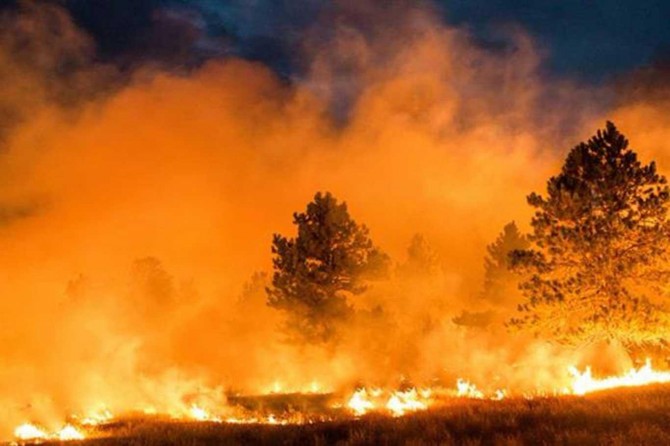 Wildfires in the Black Sea region of Turkey fully contained, the Forest Minister says