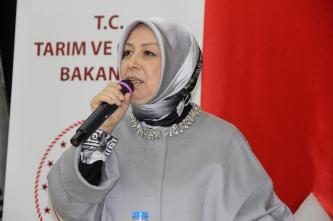 Toprak Mahsulleri Ofisi kayısı alımına başlayacak