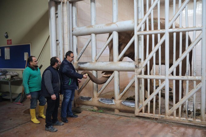 Gaziantep Hayvanat Bahçesi kış şartlarına uygun hale getirildi