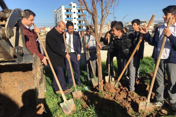 Hasankeyf'in ağaçları okulda hayat buldu