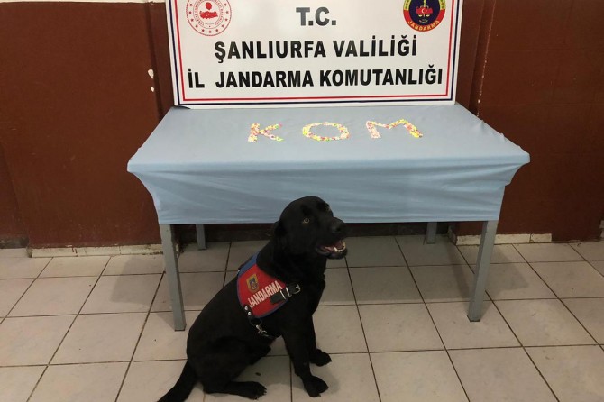 Şanlıurfa’da duvar boşluğuna gizlenmiş uyuşturucu hap ele geçirildi
