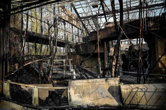 Li Almanyayê di baxçeyê heywanan de şewat: Bi dehan heywan telef bûn