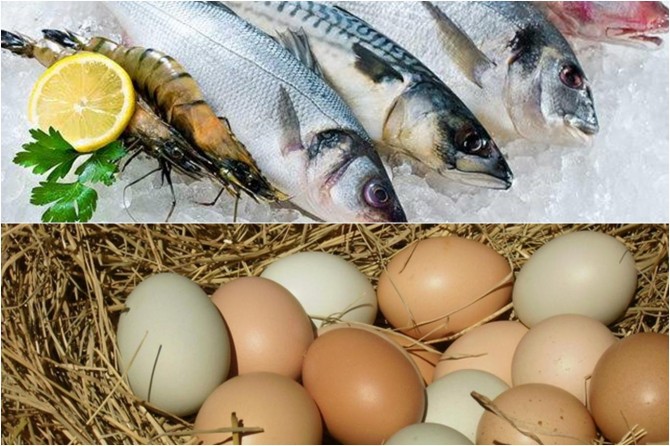 Tavuk yumurtası ve balıkta KDV indirimi