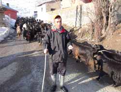 Hayvancılık Artık Karın Doyurmuyor