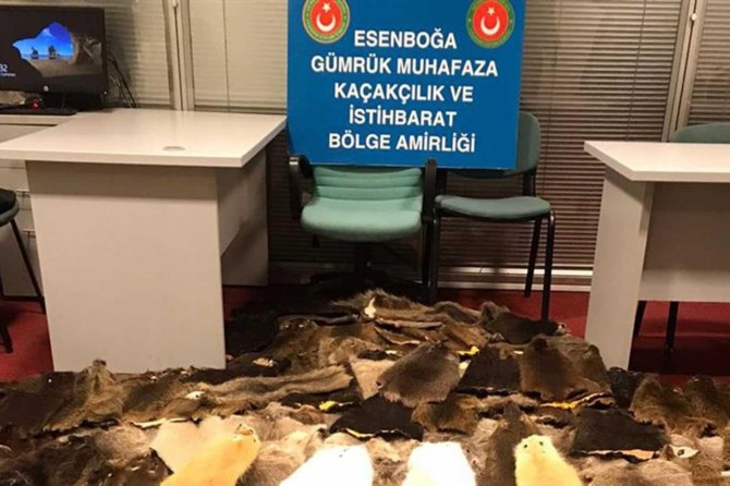 Havalimanında 800 bin lira değerinde kunduz postu ele geçirildi