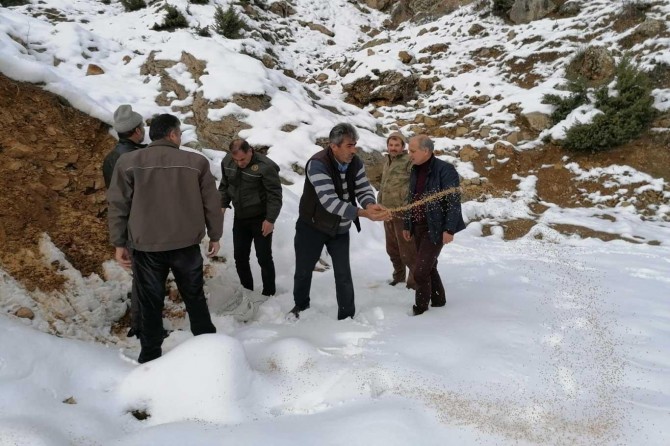 Yaban hayvanları için doğaya yem bırakıldı