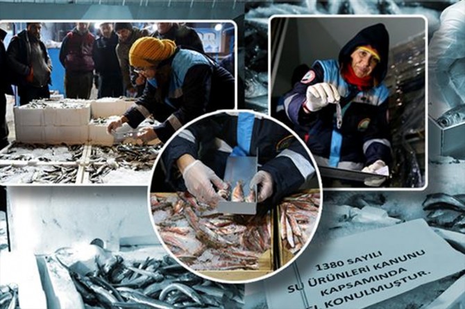 Gece yarısı denetimle 53 ton balığa el konuldu