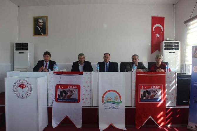 Buzağıların hastalık sebepleri ve alınacak tedbirler