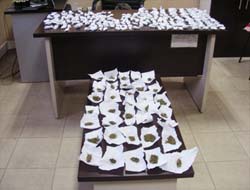 Tarsus'ta Esrar Baskını