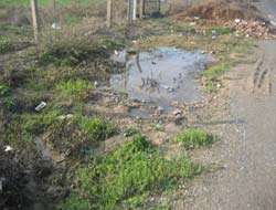 Açıktan Akan Lağım Suları Sağlığı Tehdit Ediyor