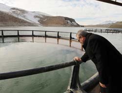 Zernek Barajında 'Ağ Kafes' Alabalık Üretimi Başladı