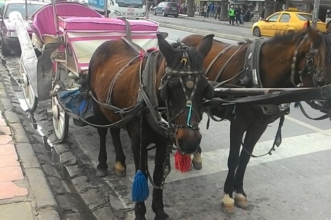 Fayton plakaları İBB'ye geçti