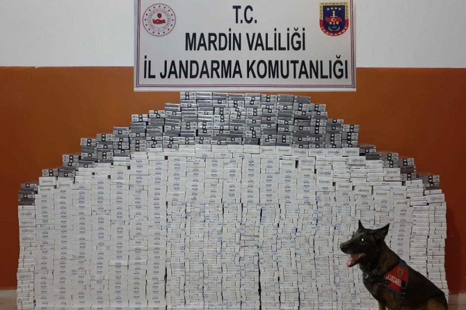 Mardin’de 8 bin 470 paket gümrük kaçağı sigara ele geçirildi