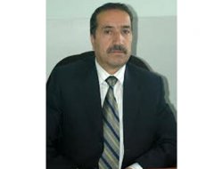 Bitlis'teki Tarihi Cami Yıkılmasın Çağrısı Video