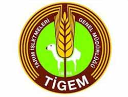 Ceylanpınar'da 135 İşçi Alınacak