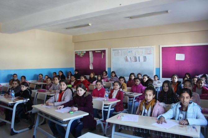 Derik ve Nusaybin’de Siyer Yarışmasına rekor katılım