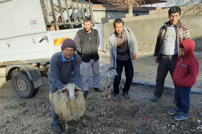 Gaziantep'ten hayvancılıkla geçinen depremzedelere yardım